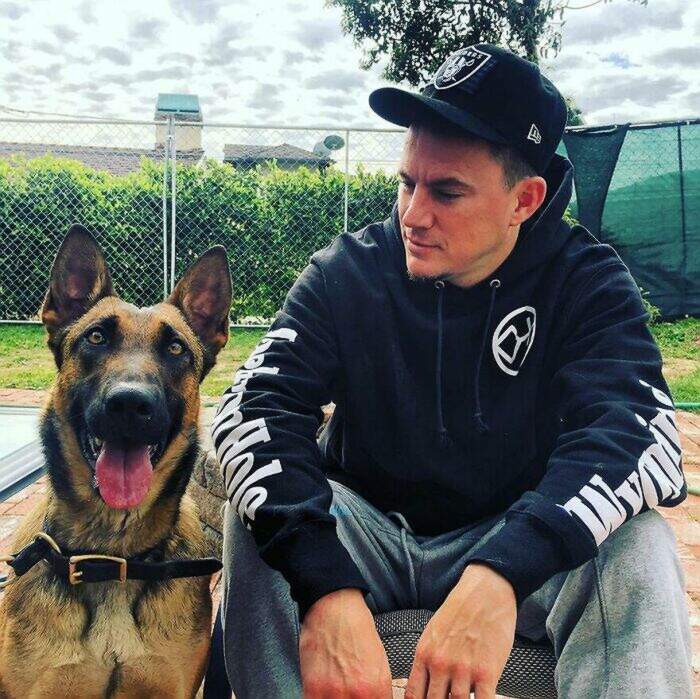 VIP e personaggi famosi con i loro cani VIP e personaggi famosi con i loro cani
