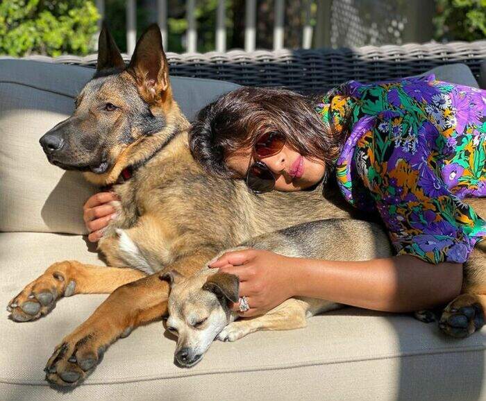VIP e personaggi famosi con i loro cani VIP e personaggi famosi con i loro cani