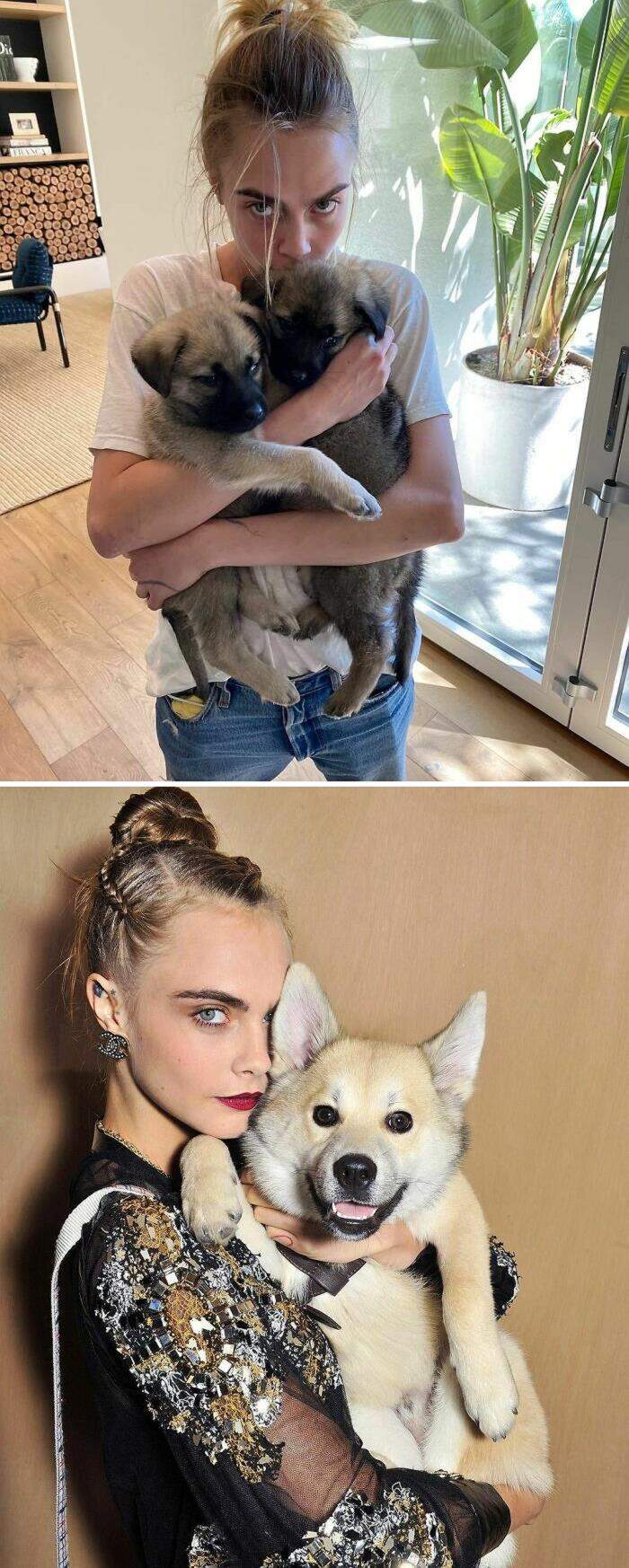 VIP e personaggi famosi con i loro cani VIP e personaggi famosi con i loro cani