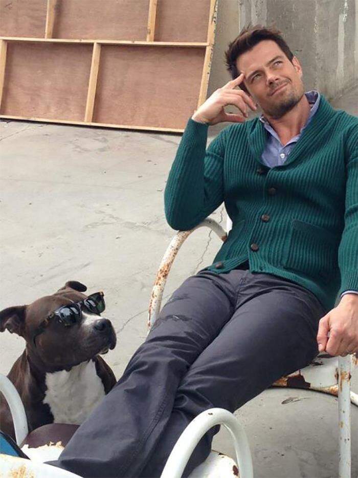 VIP e personaggi famosi con i loro cani VIP e personaggi famosi con i loro cani