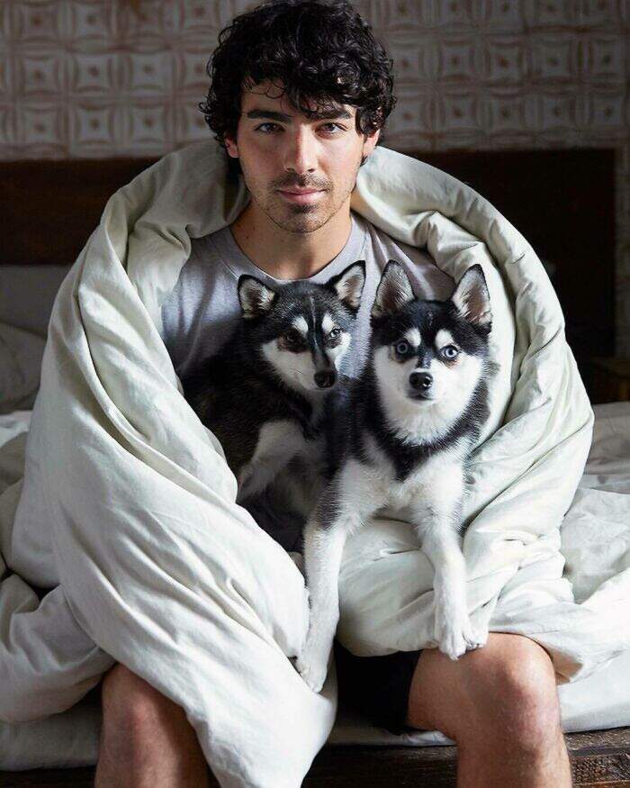 VIP e personaggi famosi con i loro cani VIP e personaggi famosi con i loro cani