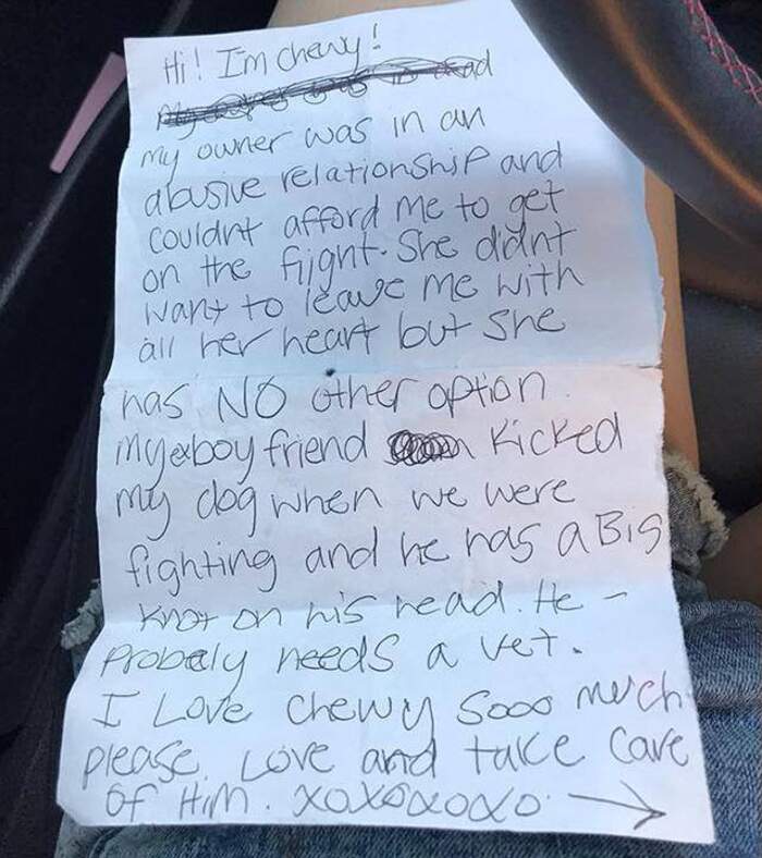 Lettera di un cane abbandonato