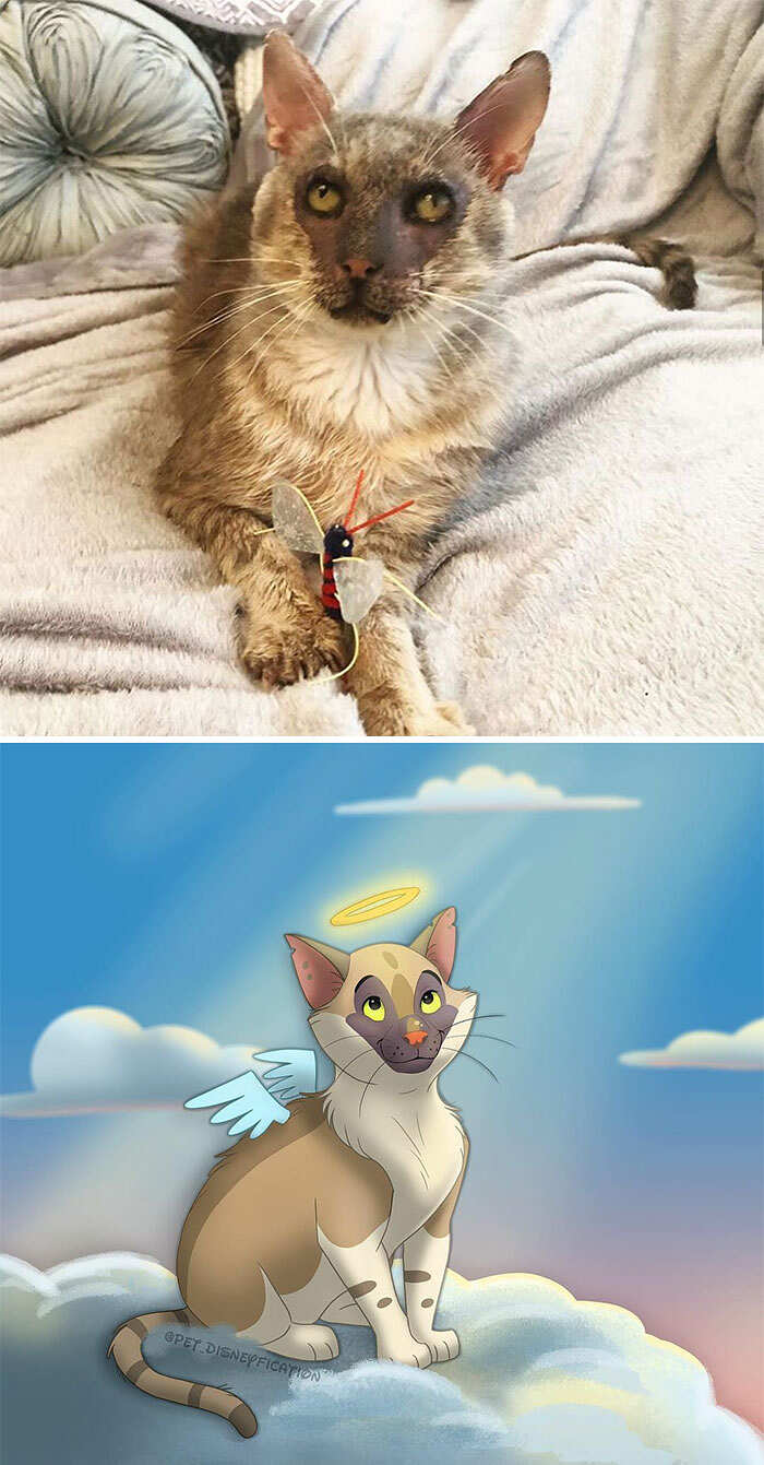 Mandate le foto dei vostri cani e gatti a questa artista: li trasformerà in personaggi  Disney - Instagram