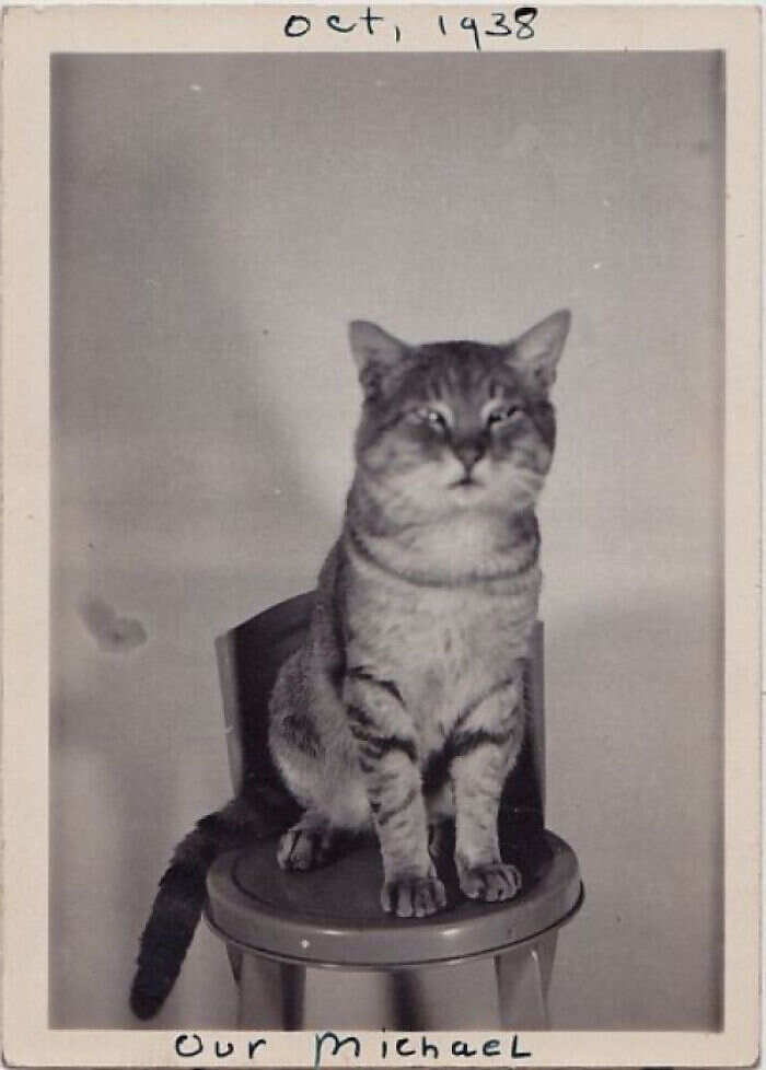 Foto d'epoca di vita nel '900 Foto d'epoca di vita nel '900