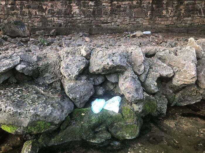 Questo genitore ha lasciato i pannolini sporchi sulle rocce lungo