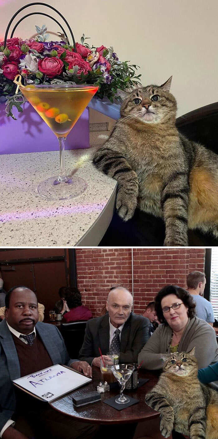 Photoshop Battles reddit foto divertenti Photoshop Battles reddit foto divertenti