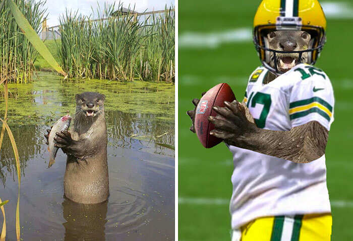 Photoshop Battles reddit foto divertenti Photoshop Battles reddit foto divertenti