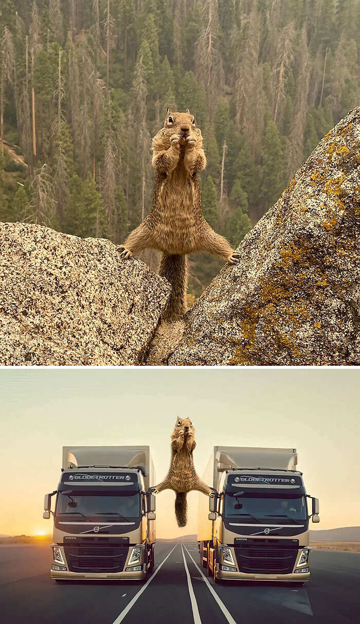 Photoshop Battles reddit foto divertenti Photoshop Battles reddit foto divertenti