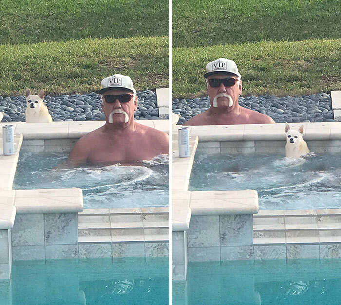 Photoshop Battles reddit foto divertenti Photoshop Battles reddit foto divertenti