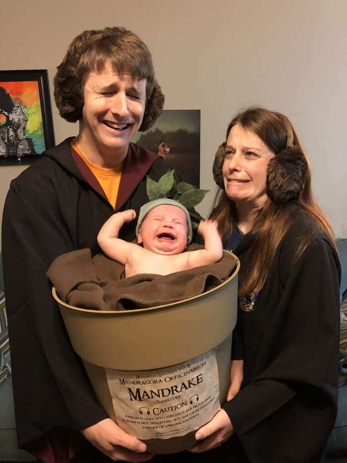 Cosplay della famiglia di Harry Potter: il vaso di mandragola è geniale! -  Keblog