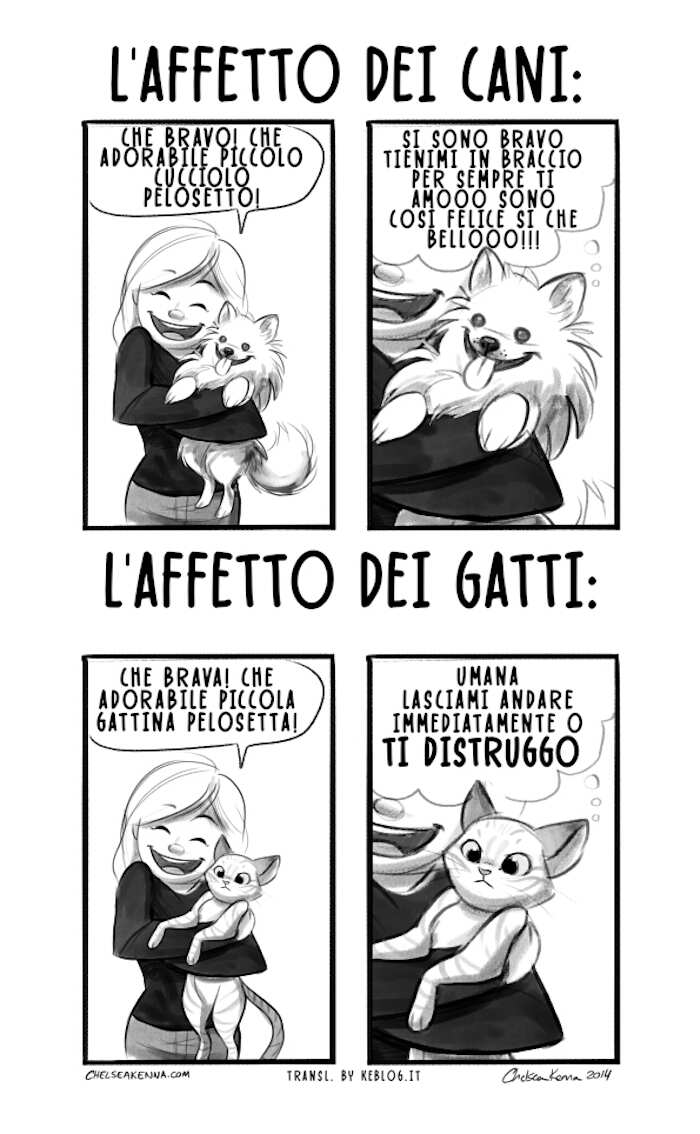 25 esilaranti vignette illustrano le differenze tra cani e gatti