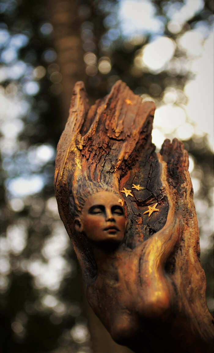 sculture-legno-debra-bernier-13