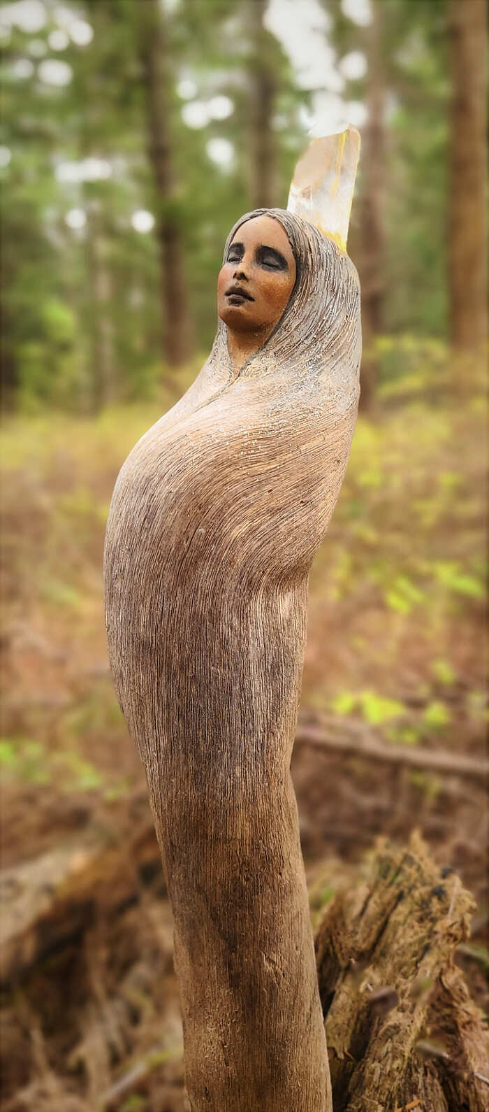 sculture-legno-debra-bernier-19
