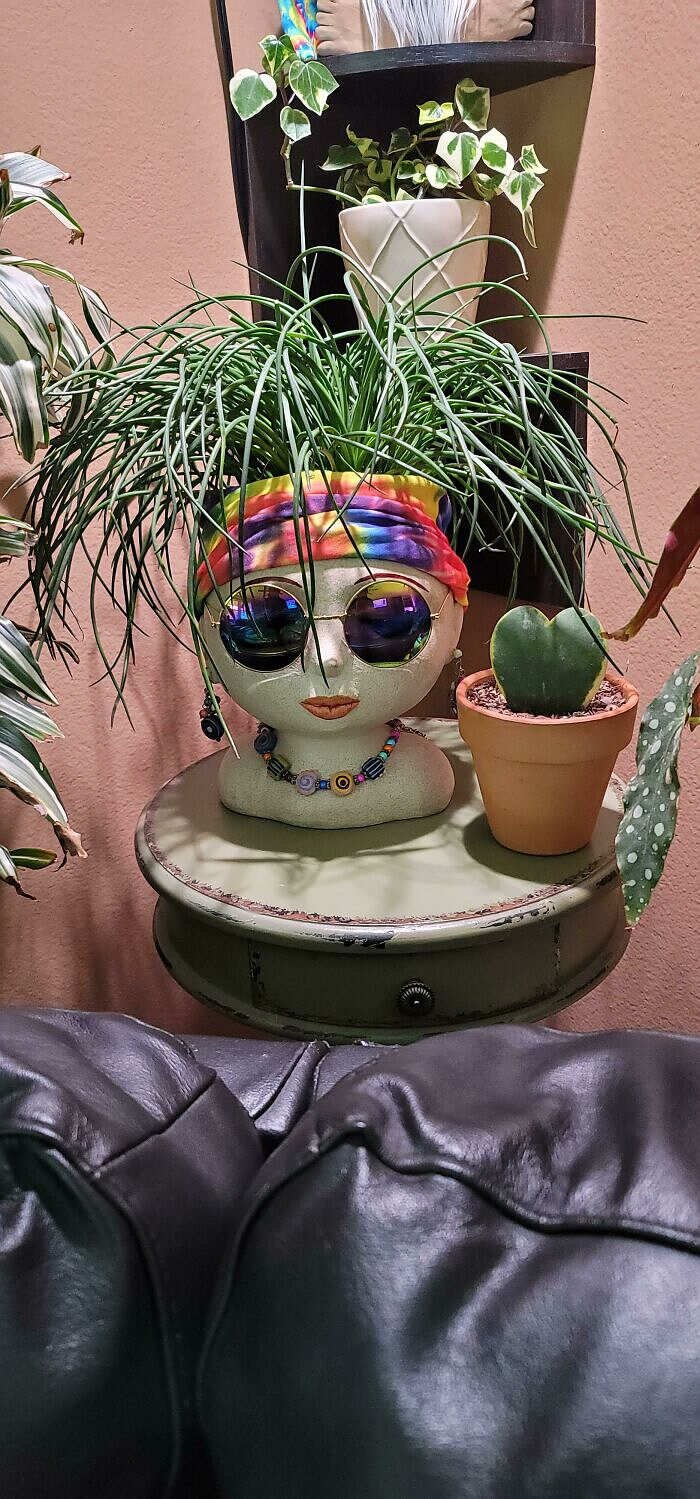 foto piante vasi creativi originali foto piante vasi creativi originali