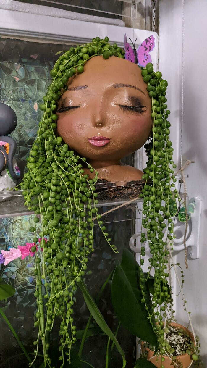 foto piante vasi creativi originali foto piante vasi creativi originali