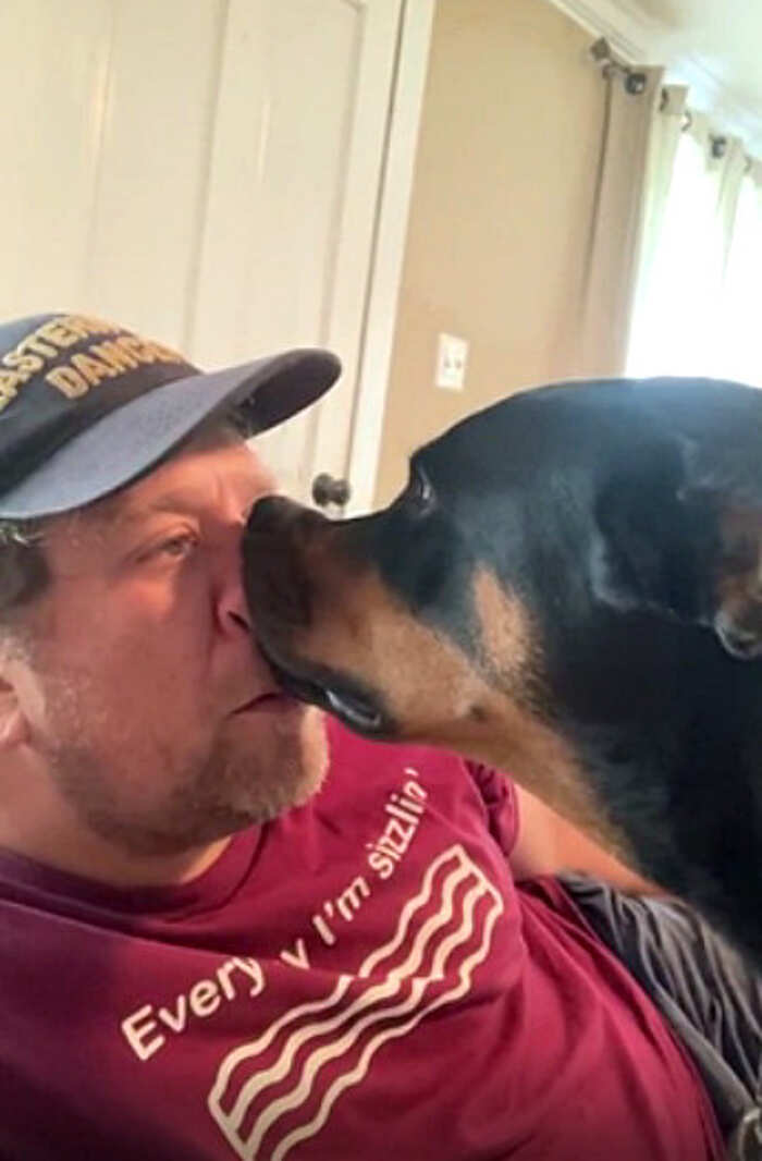 cani adorabili foto buonumore cani adorabili foto buonumore