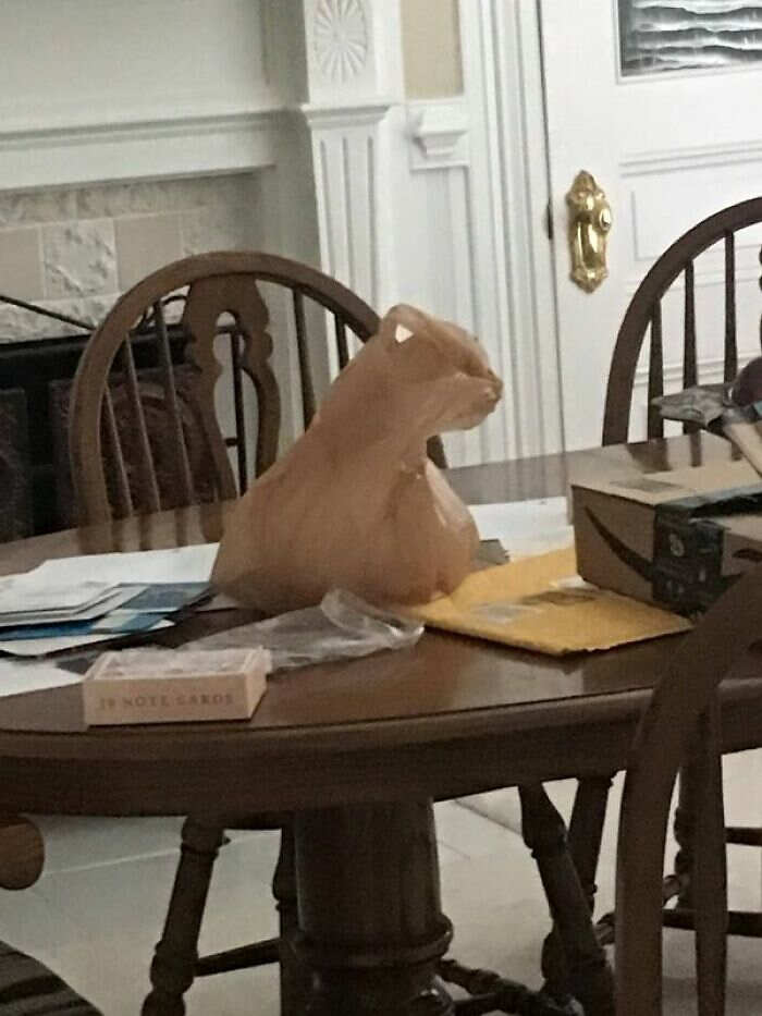 Foto cose interessanti e curiose Foto cose interessanti e curiose