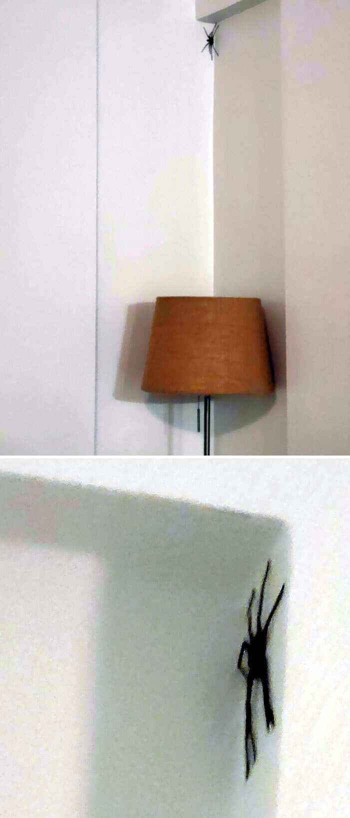 cose inquietanti trovate in casa cose inquietanti trovate in casa