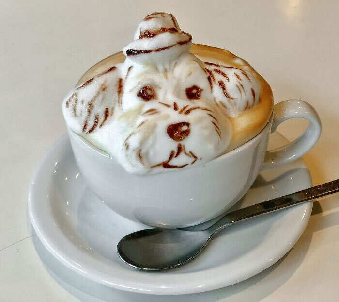 decorazioni cappuccino caffè latte art decorazioni cappuccino caffè latte art