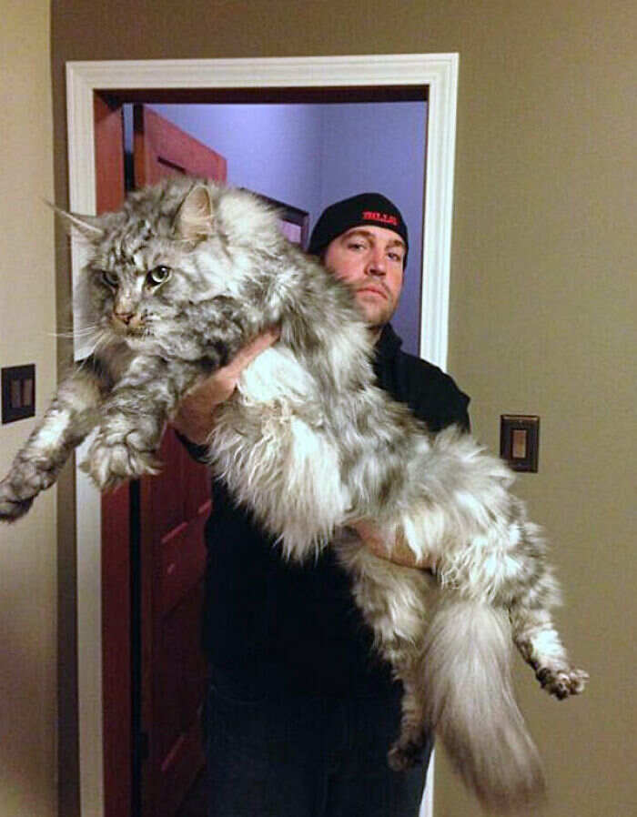 Foto animali e cose enormi Foto animali e cose enormi
