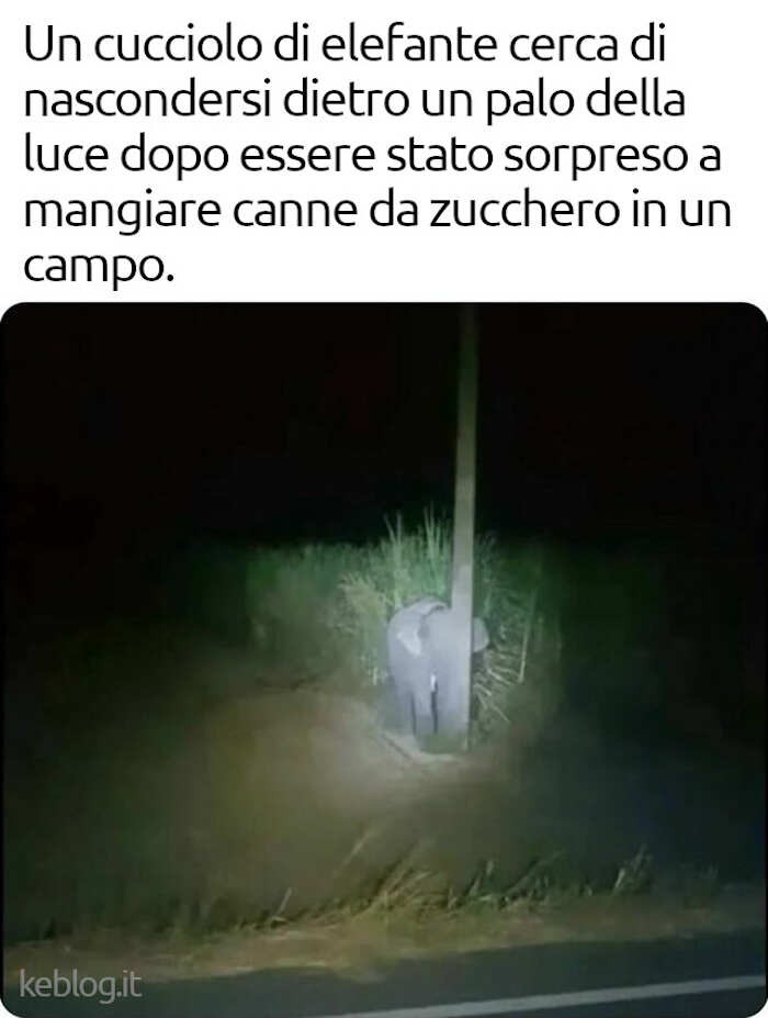 Foto curiosità e fatti interessanti Foto curiosità e fatti interessanti