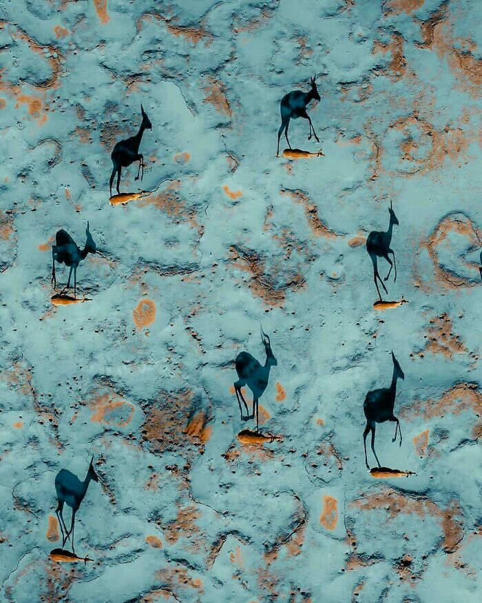 foto affascinanti natura fauna selvatica paesaggi foto affascinanti natura fauna selvatica paesaggi