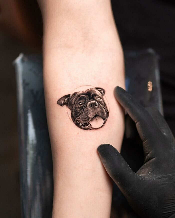tatuaggi realistici tatu panda tatuaggi realistici tatu panda