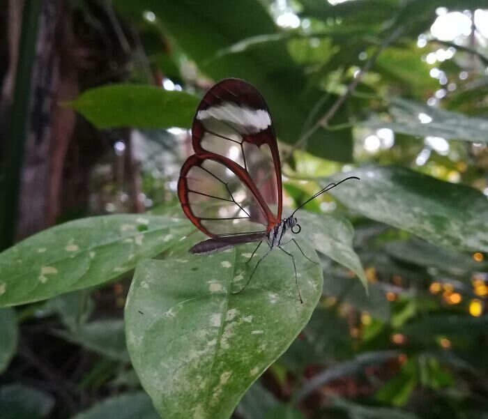 foto cose affascinanti foto cose affascinanti