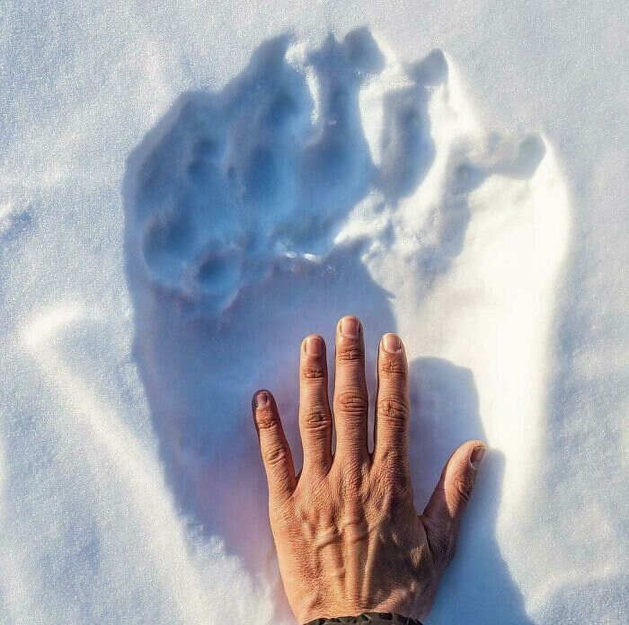 foto cose affascinanti foto cose affascinanti