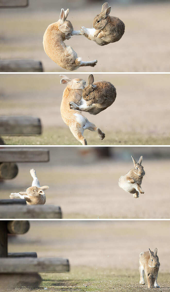 foto cose affascinanti foto cose affascinanti