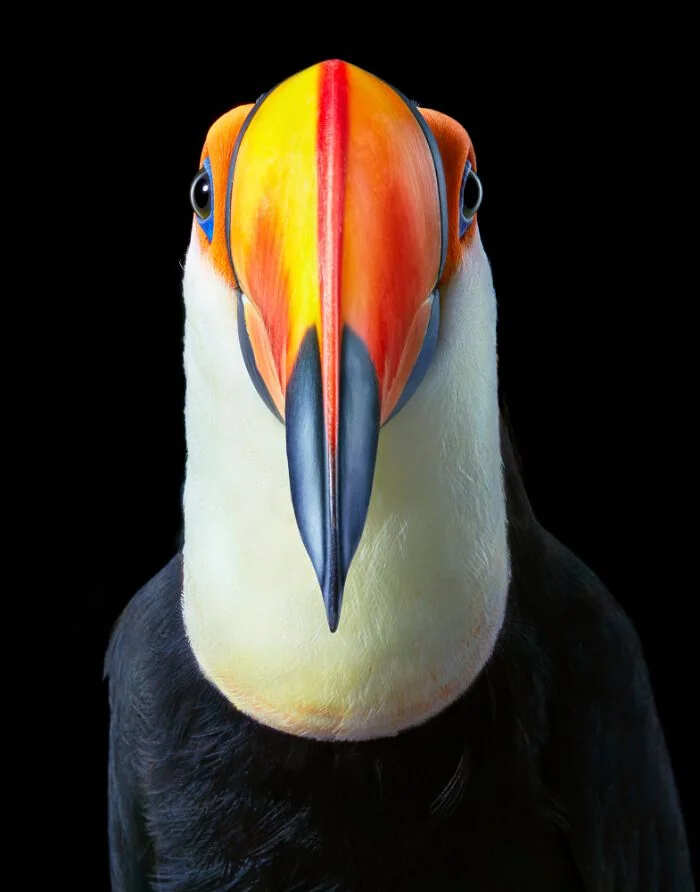 foto interessanti reddit foto interessanti reddit
