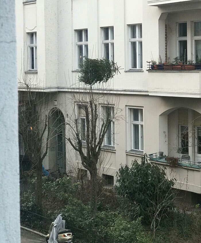 foto divertenti giornata no foto divertenti giornata no