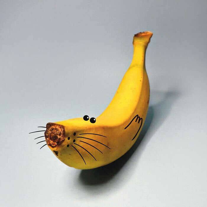 illustrazioni oggetti reali romain joly illustrazioni oggetti reali romain joly