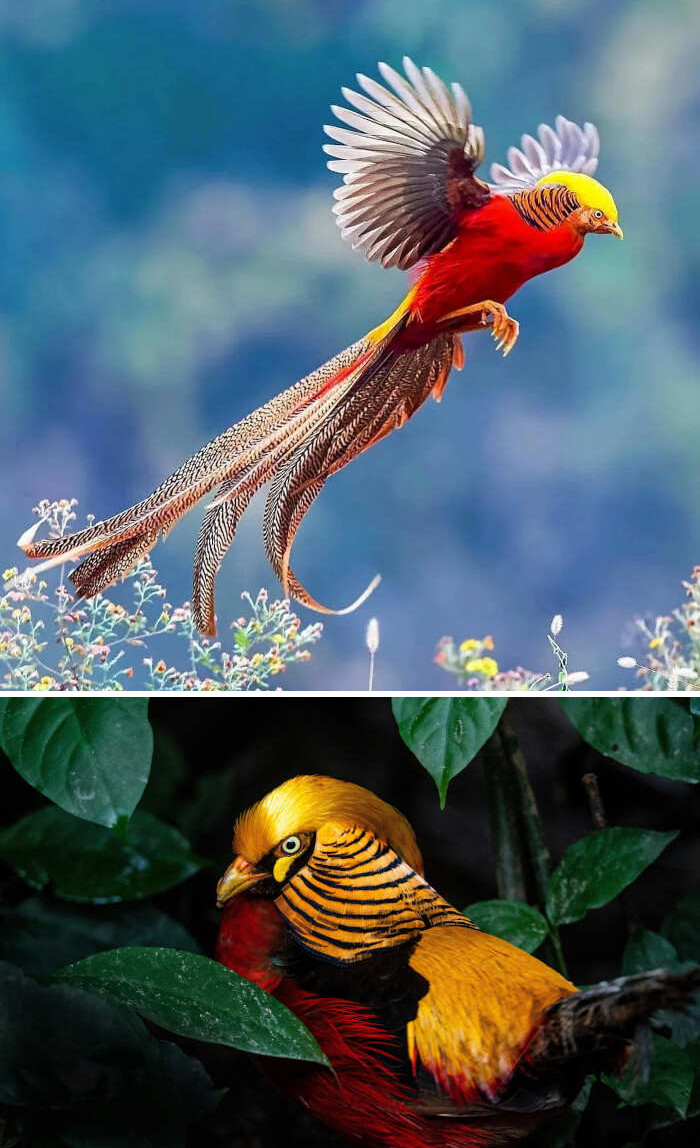 meraviglie natura foto meraviglie natura foto