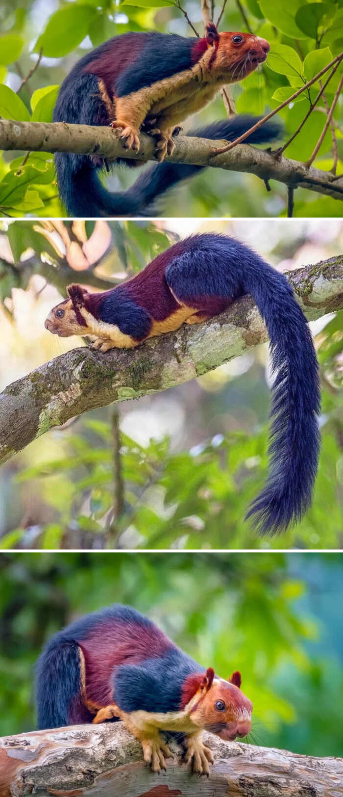 meraviglie natura foto meraviglie natura foto