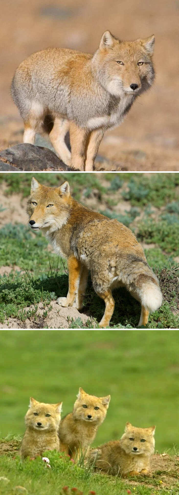 meraviglie natura foto meraviglie natura foto