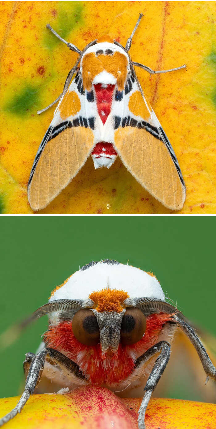meraviglie natura foto meraviglie natura foto