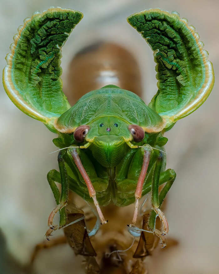 meraviglie natura foto meraviglie natura foto
