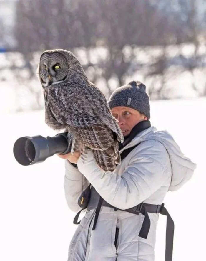 meraviglie natura foto meraviglie natura foto