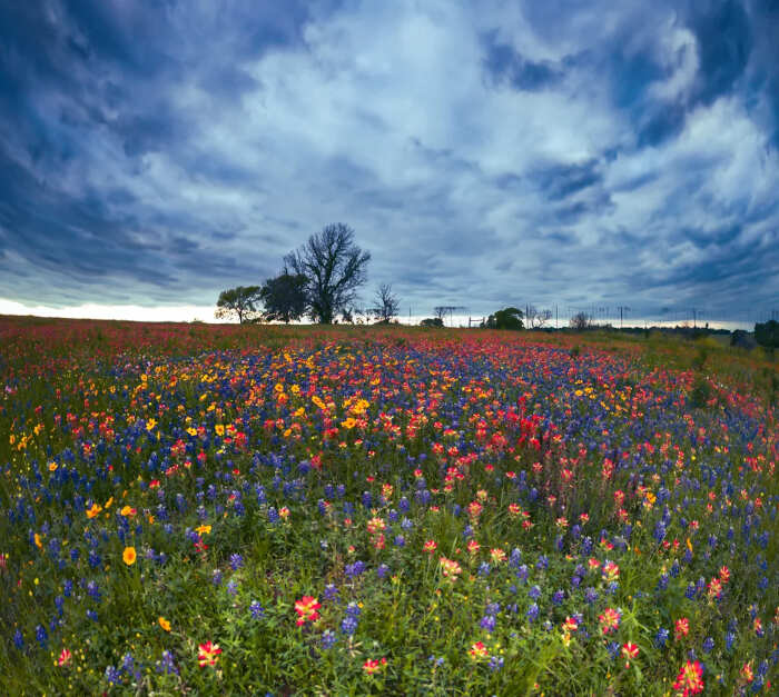 meraviglie natura foto meraviglie natura foto