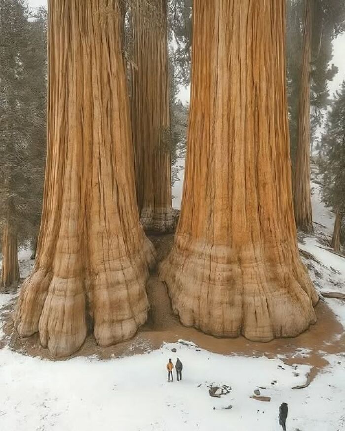 foto bellezze nella natura foto bellezze nella natura