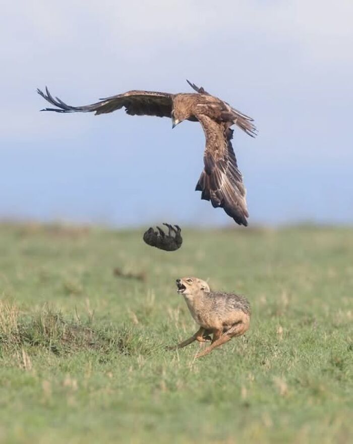 foto bellezze nella natura foto bellezze nella natura