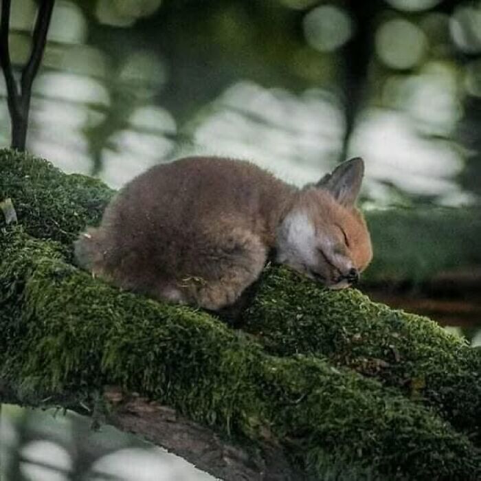 foto bellezze nella natura foto bellezze nella natura