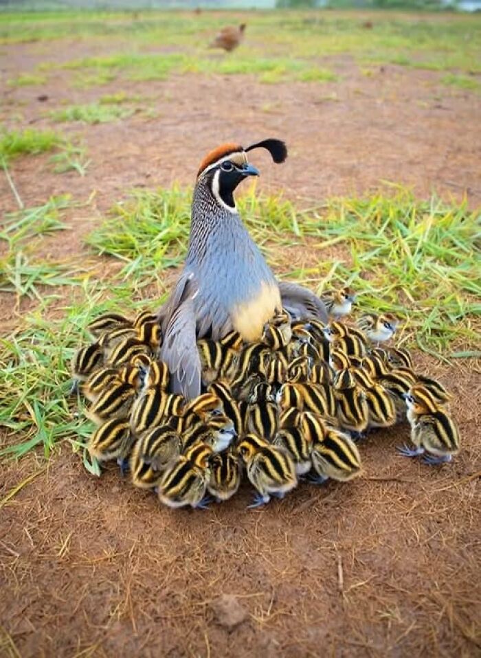 foto bellezze nella natura foto bellezze nella natura