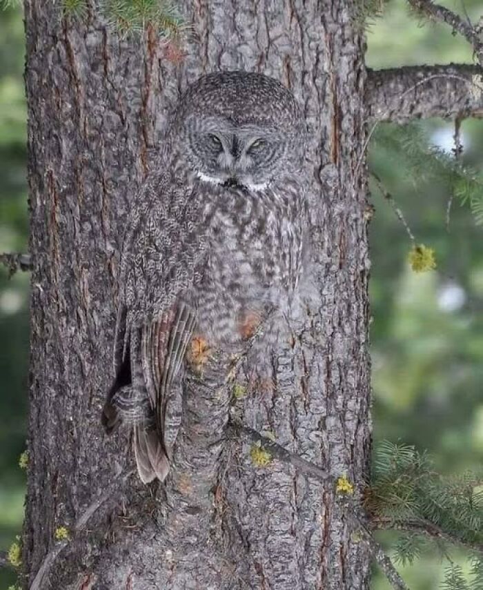 foto bellezze nella natura foto bellezze nella natura