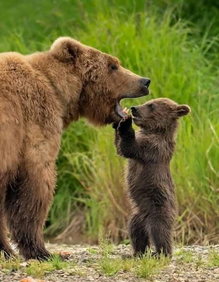 foto bellezze nella natura foto bellezze nella natura