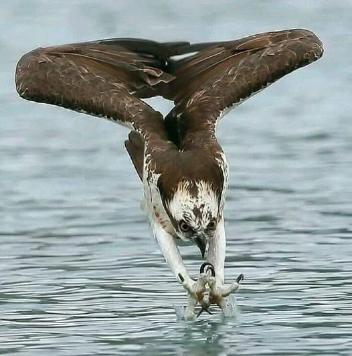 foto bellezze nella natura foto bellezze nella natura