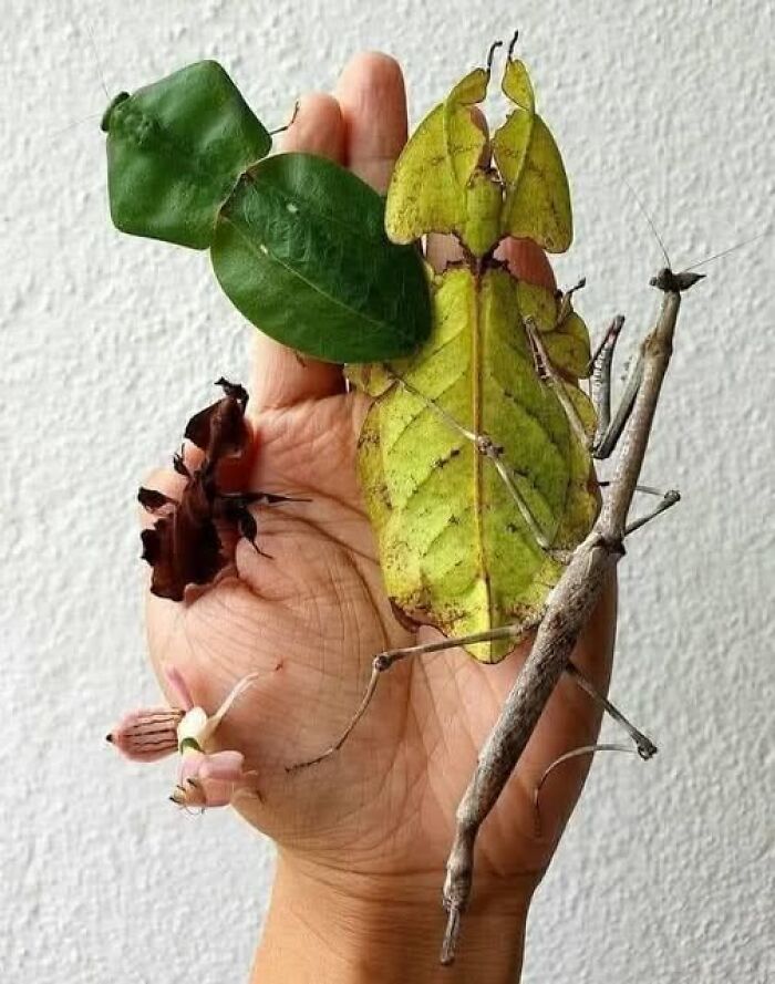 foto bellezze nella natura foto bellezze nella natura