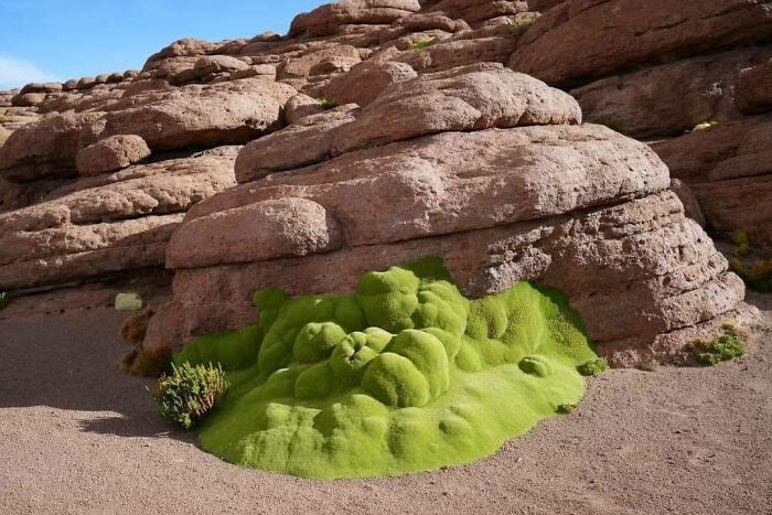 foto bellezze nella natura foto bellezze nella natura
