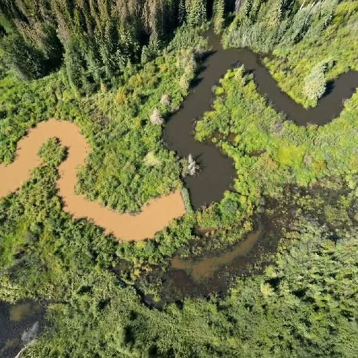 foto bellezze nella natura foto bellezze nella natura